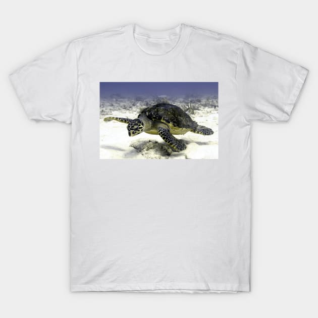 Caribbean Sea Turtle T-Shirt by Scubagirlamy